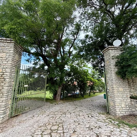 Malom Loft شقة Veszprém